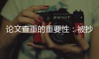 論文查重的重要性：被抄襲的學(xué)術(shù)論文給我們的警示