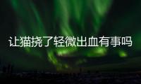 讓貓撓了輕微出血有事嗎(貓抓傷了表皮怎么辦)