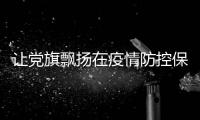 讓黨旗飄揚在疫情防控保供電一線