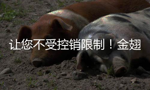 讓您不受控銷限制！金翅鳥，專業承接方便面OEM代加工！