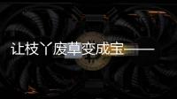 讓枝丫廢草變成寶—— 昭陽區(qū)蘇家院鎮(zhèn)發(fā)展循環(huán)農(nóng)業(yè)拓寬群眾增收渠道