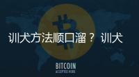 訓犬方法順口溜？ 訓犬口令大全