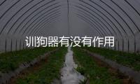訓狗器有沒有作用