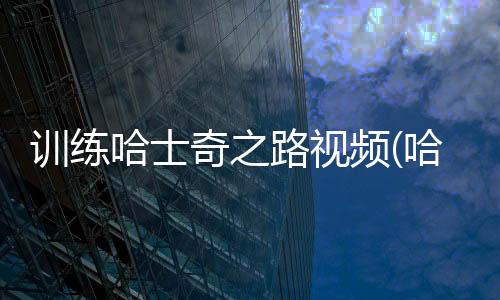 訓(xùn)練哈士奇之路視頻(哈士奇訓(xùn)狗教程)