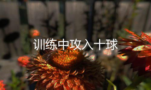 訓(xùn)練中攻入十球