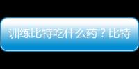 訓(xùn)練比特吃什么藥？比特犬訓(xùn)練吃什么好