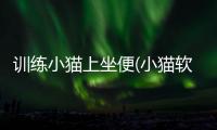 訓練小貓上坐便(小貓軟便會自己好嗎)