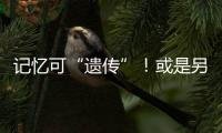 記憶可“遺傳”！或是另一種“永生”！