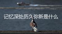 記憶深處歷久彌新是什么意思（歷久彌新是什么意思）