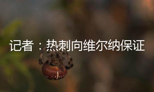 記者：熱刺向維爾納保證了出場時(shí)間，買斷費(fèi)1700萬1800萬歐