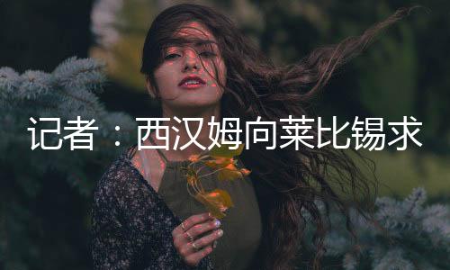 記者：西漢姆向萊比錫求租A席，如果失敗將考慮阿賈克斯的布羅比
