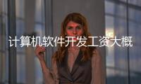 計(jì)算機(jī)軟件開發(fā)工資大概多少和深圳科技園軟件開發(fā)工資的詳細(xì)介紹
