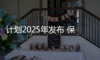 計劃2025年發(fā)布 保時捷718純電版最新諜照