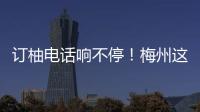 訂柚電話響不停！梅州這位新農人“十一”期間賣柚忙~