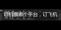 訂機票哪個平臺，訂飛機票哪個網站好
