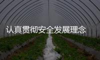 認真貫徹安全發展理念  堅決筑牢安全生產防線