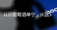 認識葡萄酒單寧，從這5款葡萄酒開始