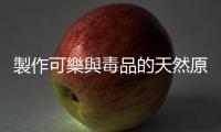 製作可樂與毒品的天然原料：「古柯」的馴化起源研究