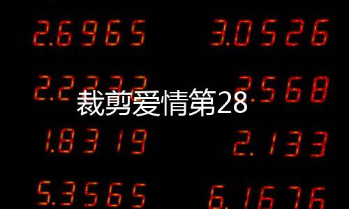 裁剪愛(ài)情第28
