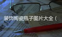 裝飾陶瓷瓶子圖片大全（裝飾陶瓷）