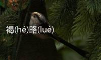 褐(hè)略(luè)懶(lǎn)網(wǎng)友怎么看?