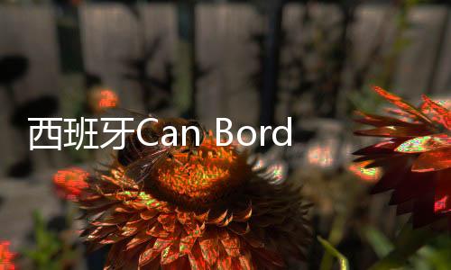 西班牙Can Bordoy花園酒店，當(dāng)代設(shè)計(jì)與歷史雜糅的融合（組圖）