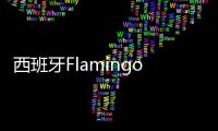 西班牙Flamingo俱樂部酒店，優雅獨特，自成一派（組圖）