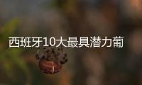 西班牙10大最具潛力葡萄酒產(chǎn)區(qū)