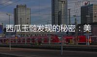 西瓜玉髓發(fā)現(xiàn)的秘密：美膚、清熱解毒，讓你煥發(fā)自信！