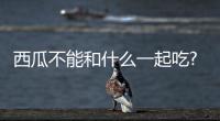 西瓜不能和什么一起吃?千萬注意這6種西瓜的禁忌食物