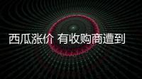 西瓜漲價 有收購商遭到一天三漲
