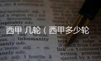 西甲 幾輪（西甲多少輪）