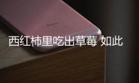 西紅柿里吃出草莓 如此西紅柿不禁讓網(wǎng)友浮想聯(lián)翩