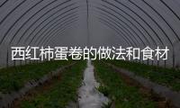 西紅柿蛋卷的做法和食材用料及健康功效