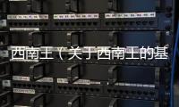 西南王（關(guān)于西南王的基本情況說明介紹）