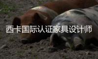西卡國際認(rèn)證家具設(shè)計(jì)師