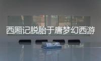 西廂記脫胎于唐夢幻西游故事（西廂記脫胎）