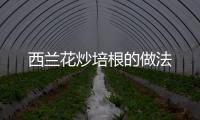 西蘭花炒培根的做法