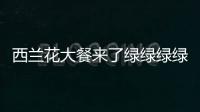 西蘭花大餐來了綠綠綠綠綠綠綠綠綠綠綠綠綠綠綠綠綠綠綠