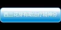 西蘭花芽有助治療精神分裂癥