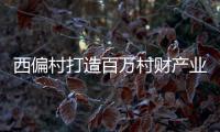 西偏村打造百萬村財產業帶