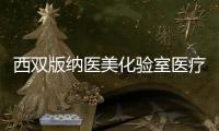 西雙版納醫美化驗室醫療污水處理設備