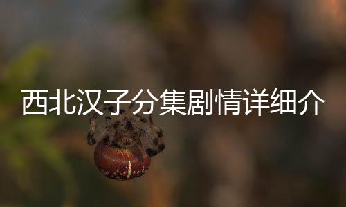 西北漢子分集劇情詳細介紹(1