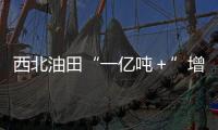 西北油田“一億噸＋”增產的熱土