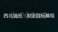 西北油田：咬定目標展現勘探開發新作為