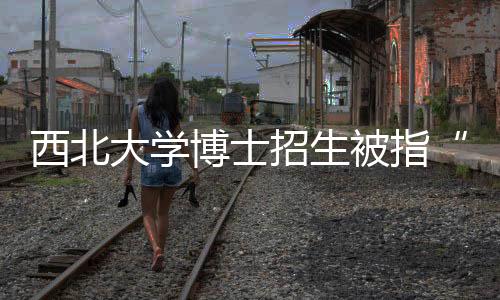 西北大學博士招生被指“空降”本?？忌?學院回應