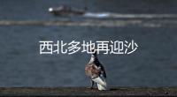 西北多地再迎沙