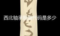 西北軸承股票代碼是多少（西北軸承股票）