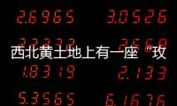 西北黃土地上有一座“玫瑰超級工廠”