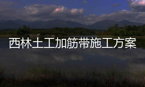 西林土工加筋帶施工方案